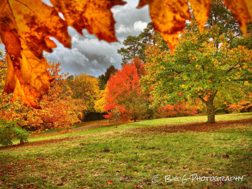 Glorious colours of Autumn